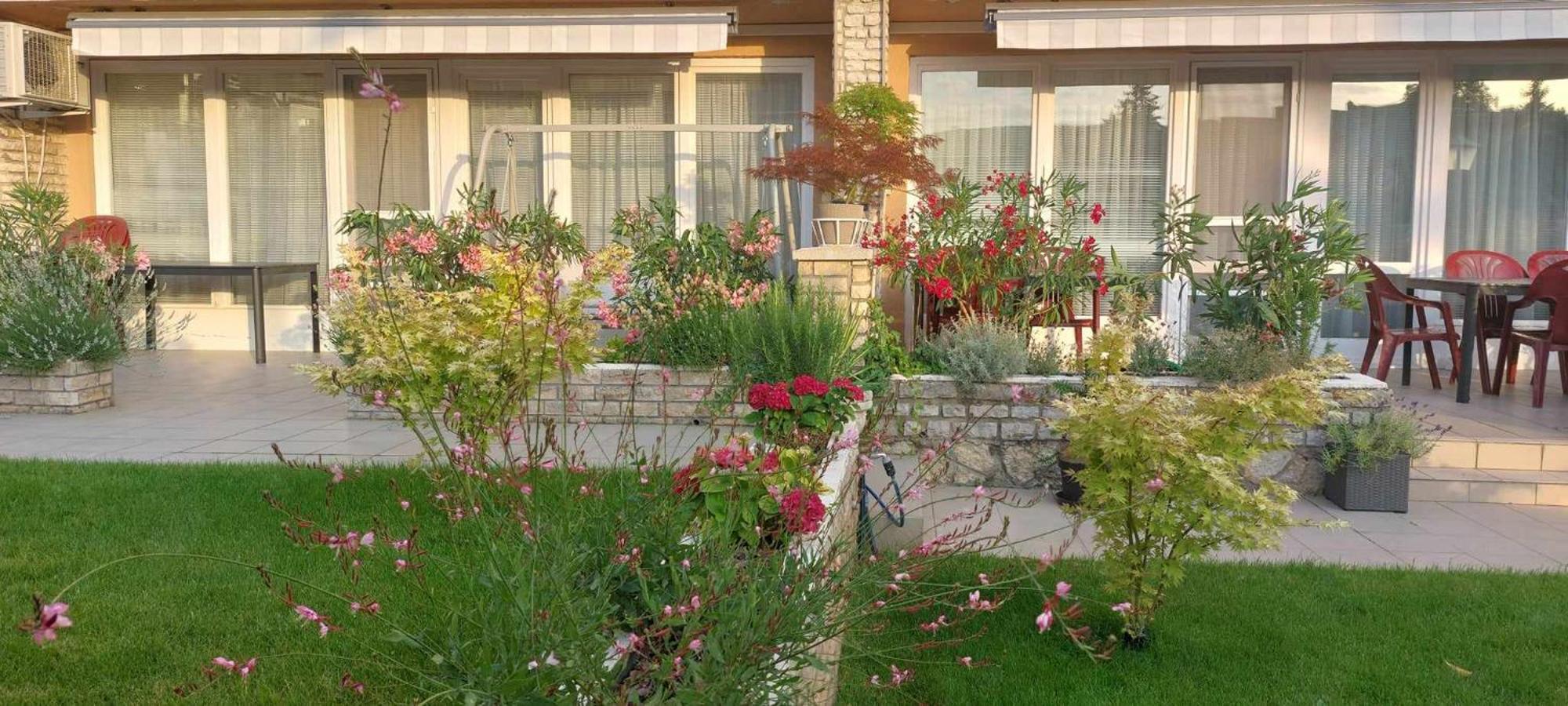 Siesta Apartmanhaz Balatonfuered Exteriör bild